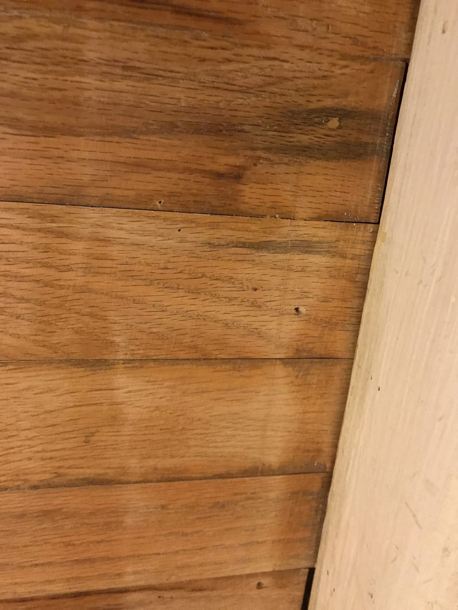 Wood-paneled wall and ceiling